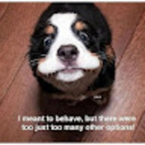 Meet your Posher, Sailsailcute